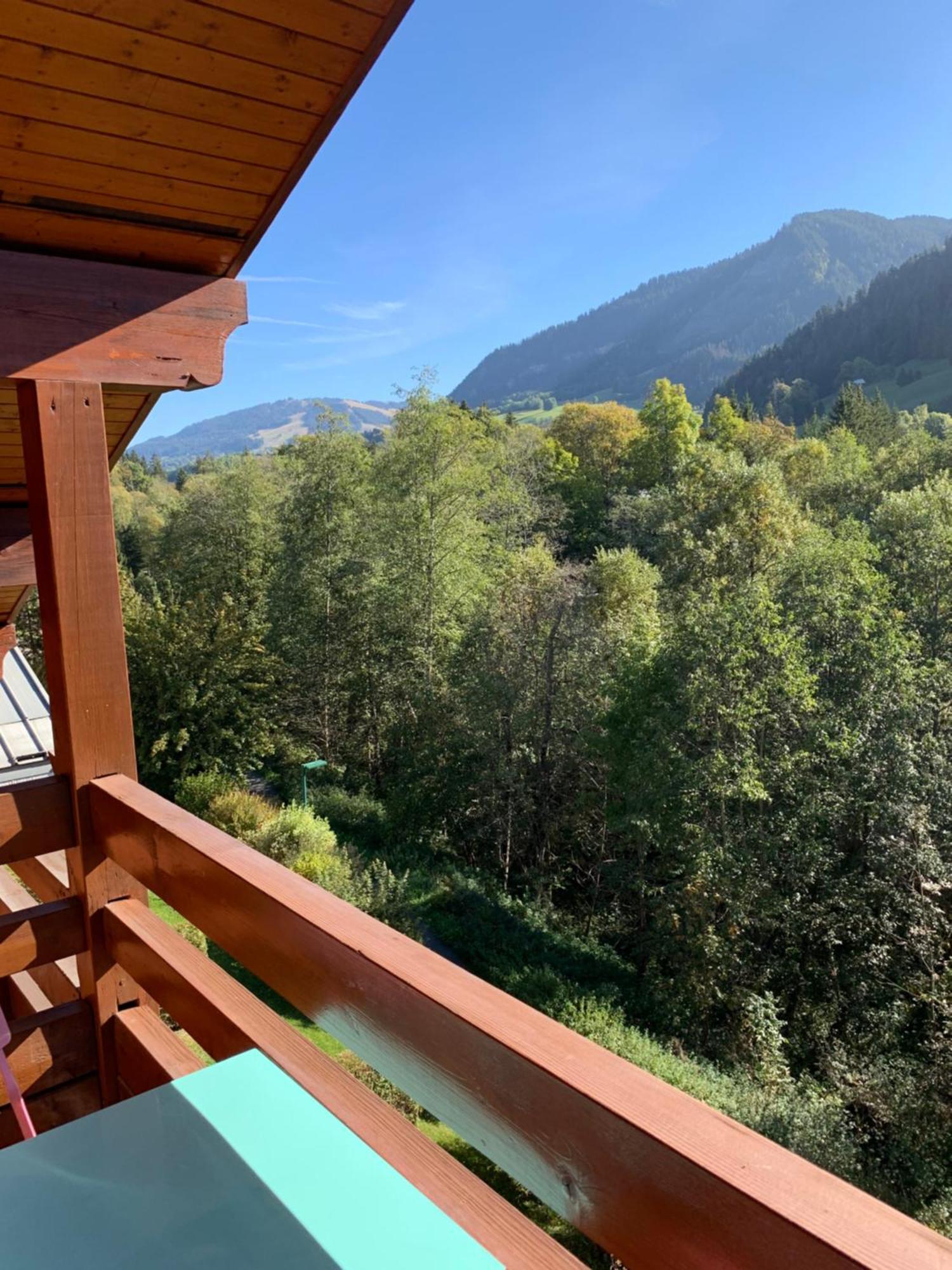 Appartement Vue Piste De Ski Praz-sur-Arly Exterior photo